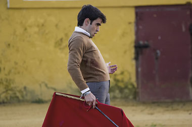 Lagartijo del siglo XXI