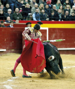 (Foto: Arjona)