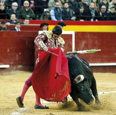 Corta, aunque muy intensa