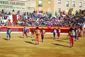 Plaza de toros de Roa de Duero