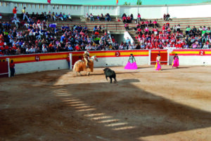 Plaza de toros de Sahagún