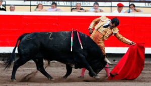 (Foto: Arjona)