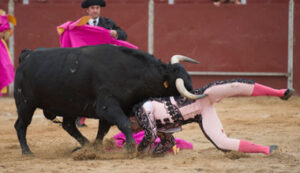 Alexis Sendín resultó herido en su debut con caballos en Aldeanueva de San Martín.