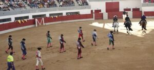Plaza de toros de Las Rozas