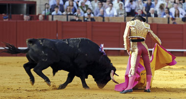 Crecido ante la adversidad