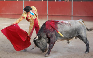 Octavio Chacón y Banderito en Fresnedilla.