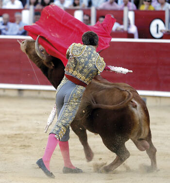 Un torero con mensaje