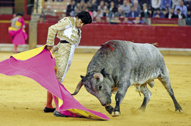 “Siempre salgo a la plaza a darlo todo”