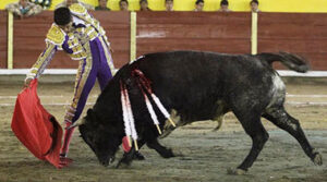 Sainos / Suertematador