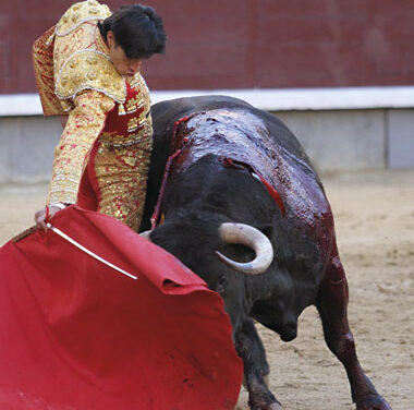 “Los aficionados han vuelto a reclamarme”