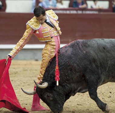 “Dentro de mí hay muchas cosas para aportar al toreo”