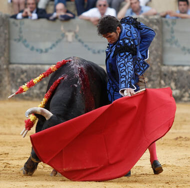 “No estoy de visita, el toreo es mi vida”