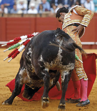 “El año me ha servido para recapacitar”