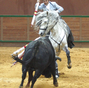 “Reúno todos los requisitos para triunfar”