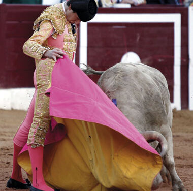 “He salido reforzado”