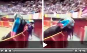 Escribano se libró de milagro de la cornada.