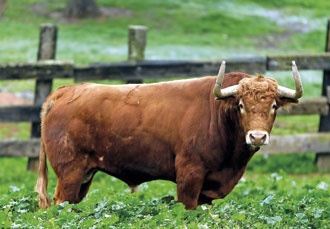 Una nueva generación de ilusiones