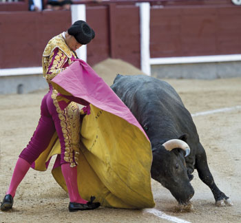 “Si cuajo un novillo, voy a sorprender”