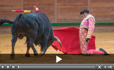 Talavante, tres orejas, se lleva el mano a mano de Arnedo