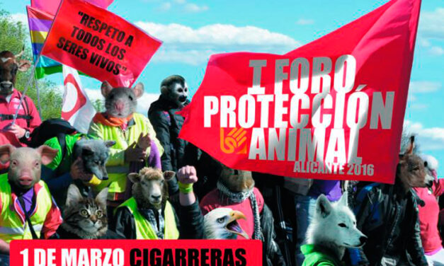 Asedio a la Tauromaquia en Alicante