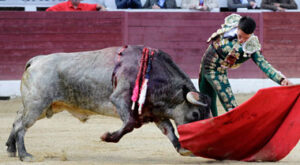 Manolo Vanegas, al natural este domingo en Aire sur l´Adour.
