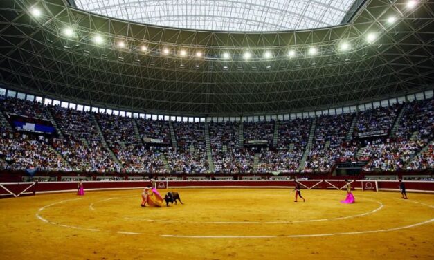 José Tomás vuelve a Illumbe