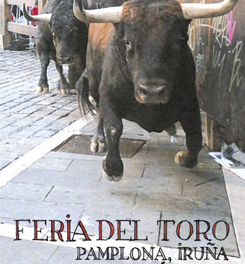 Especial San Fermín