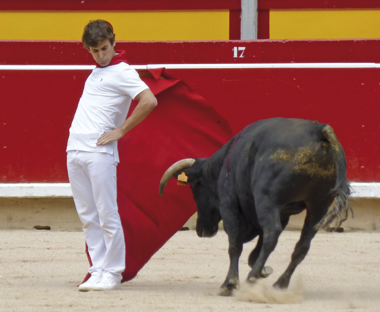 Javier Marín Navarra, su tierra; Madrid, su vida