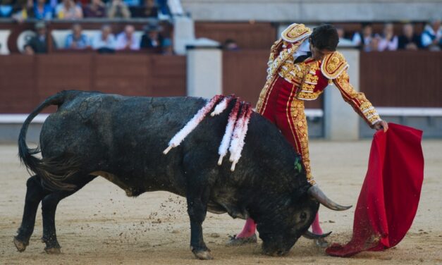 Confirmado: Sebastián Castella, con seis adolfos en Nimes