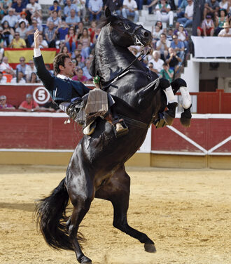 “Mi sello es darlo todo pero siendo cada vez mejor torero”