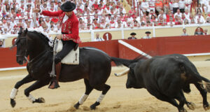 Hermoso, parando uno de sus toros en Bayona.