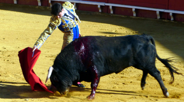 Toñete, XIX Trofeo Piquillo de Oro de Lodosa