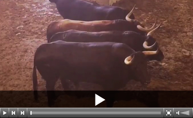 Reloco, de Zalduendo, abre plaza en San Sebastián