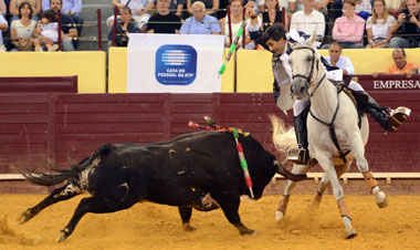 Encastados y bravos murteiras en Campo Pequeno