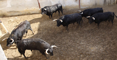Transparente, primero de los seis zalduendos de hoy en Cuenca