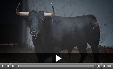 De Lechucito a Cigarro, los del Puerto de esta tarde en Bilbao