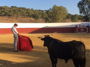 Roca Rey, en su puesta a punto en el campo.