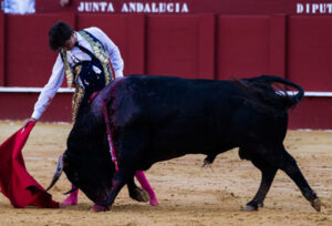 Roca, en la tarde en la que fue cogido en Málaga.