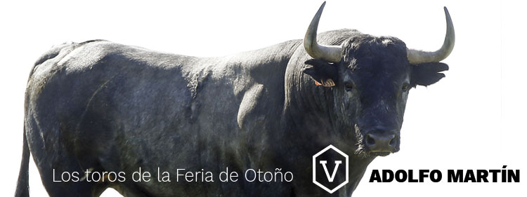 Los toros de Adolfo Martín para la Feria de Otoño