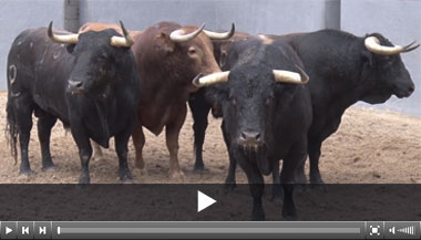 Clarinete, primero de los alcurrucenes para Albacete