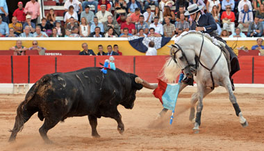 Ventura, un alboroto en Moita