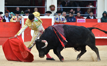Octavio Chacón: “Mi sueño es encajar en el circuito de las duras”