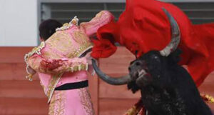 Momento exacto de la cornada de Galván.