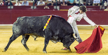 Jorge Isiegas: “Lo de Zaragoza estuvo bien, pero quiero más”