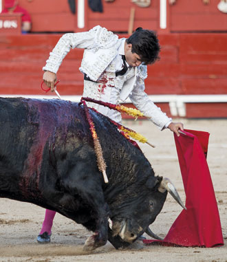 “Soy novedad y eso juega a mi favor”