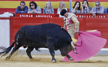 “Lo único que hay en mi cabeza es torear”