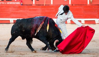 Álvaro Lorenzo: “Soy novedad y eso juega a mi favor”