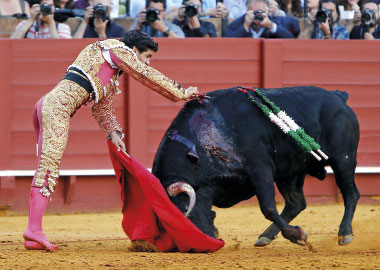 “He demostrado mis ganas de ser torero”