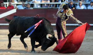El Fundi, en su última corrida en Istres en 2012.