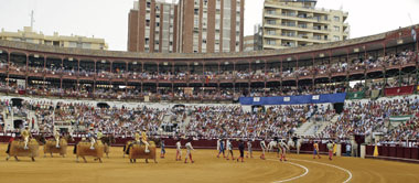 Toros del Mediterráneo, virtual adjudicataria de la Malagueta